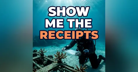 Show Me the Receipts: Why I.CARE Monitors Every Coral It Plants
