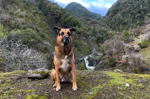 Bodhi's sixth birthday