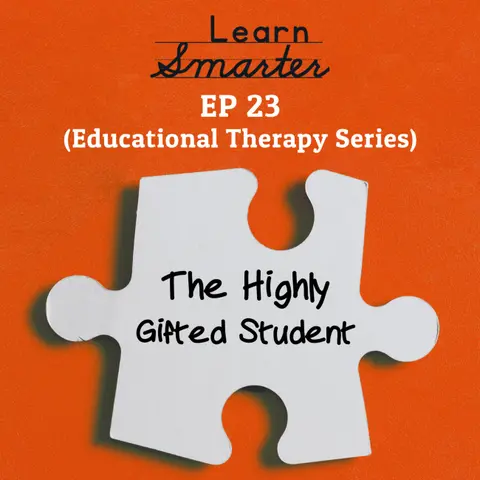 23: The Highly Gifted Student