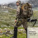 Sheep Shape with Chad Hall