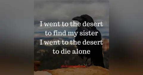 Three Nights in the Desert