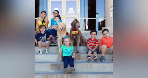 Helper Dogs