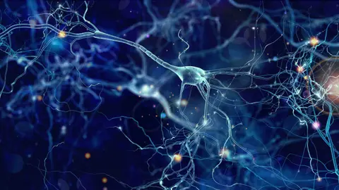Nerve Repair and Grafting (Part 1)