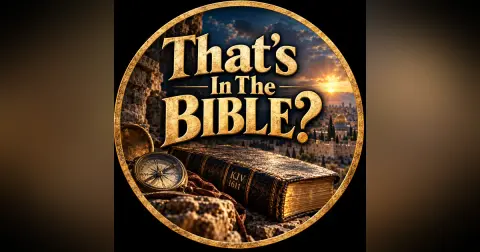 That's In The Bible?
