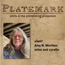 s3e67 on being artist and curator with Amy N. Worthen