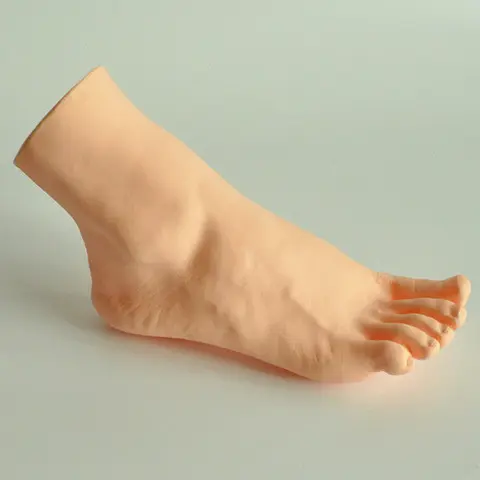 Salish Sea Human Foot Discoveries