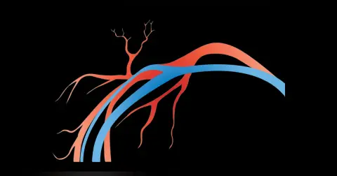 Portal Hypertension – Presentation and Management