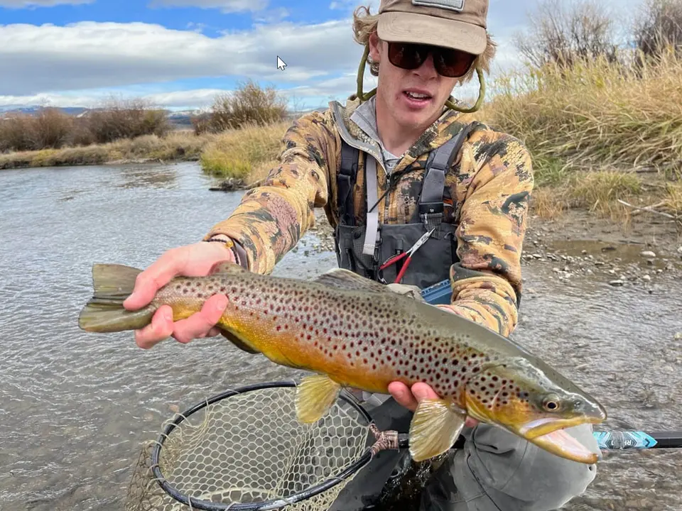 Ruby River Brown Trout