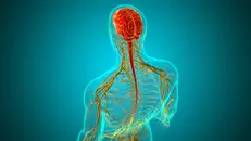 Common Neurosurgical Infections