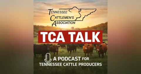Tenn. State Veterinarian Dr. Samantha Beaty Discusses New World Screwworm