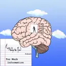 Too Much Information