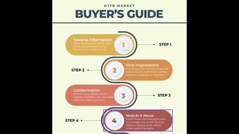 Ep. 3 OTTB Market Buyer's Guide
