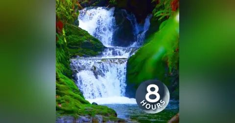 Waterfall White Noise for Sleep, Studying, Focus | Water Sounds 8 Hours