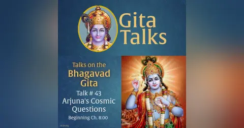 Gita Talk 43–Arjuna's Cosmic Questions