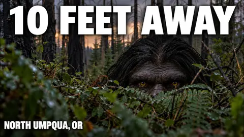 Oregon Hunter Fired a Warning Shot—Then Saw Its Face | Bigfoot Society 1222