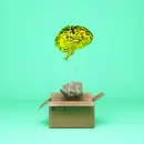 Thinking Outside the “Box”: Exploring the SLP’s Role in Dyslexia
