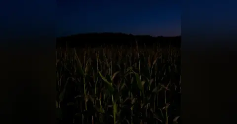 Horror Short Story: PREDICTING THE UNKNOWN