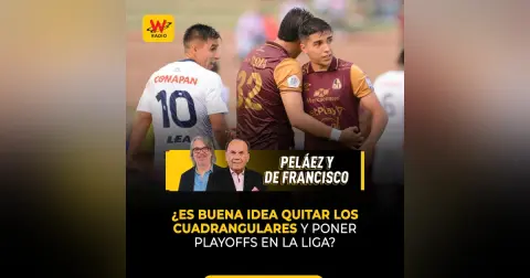 ¿Es buena idea quitar los cuadrangulares y poner playoffs en la liga?