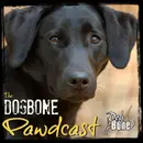Do You Like Your Dog? Conversation w/ Heath Hyatt of the Houndsman XP Podcast | Ep: #223