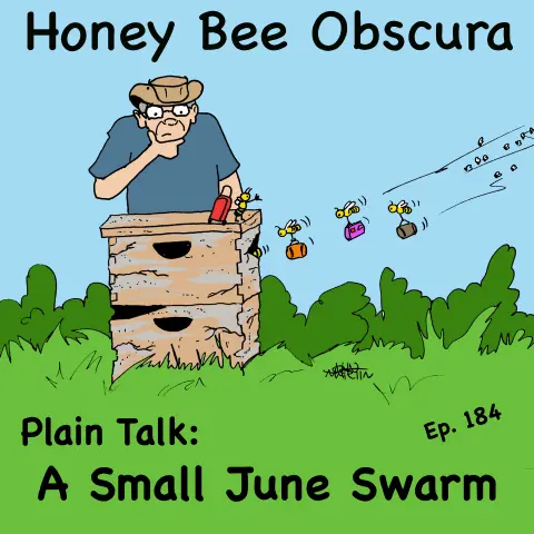 Plain Talk: A Small June Swarm (184)