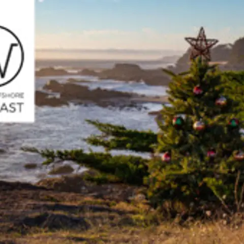 Christmas Trees at Sea, Episode 81