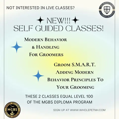 I just released 2 New Self-Guided classes!