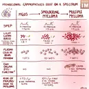 #169 MGUS to Multiple Myeloma Diagnostics and Counseling: 5 Pearls Segment
