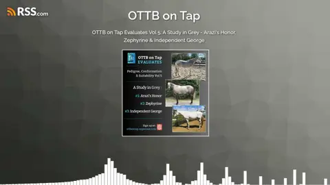 OTTB on Tap Evaluates Vol 5: A Study in Grey - Arazi's Honor, Zephyrine & Independent George