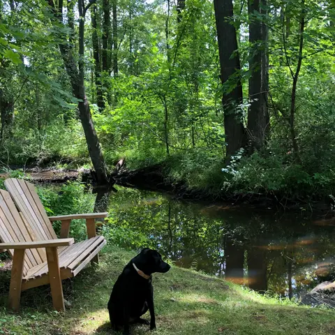 12. Solitude