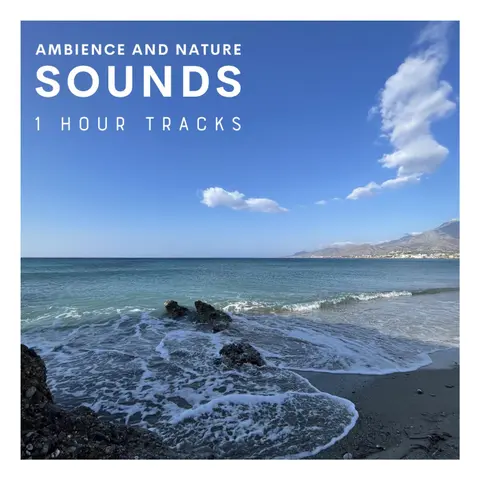 Ocean ambience from Makrigialos: Waves crashing onto Diaskari Beach on South East Crete (1 hour)