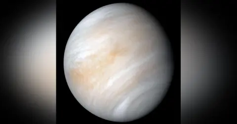 Could there really be life in the clouds of Venus?