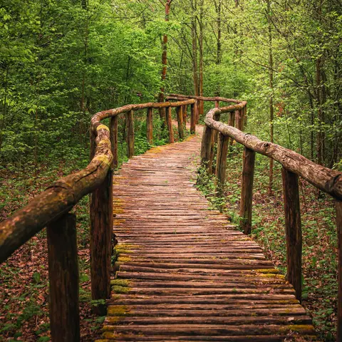 Planning Your Path: How a Written Financial Plan Changes Everything