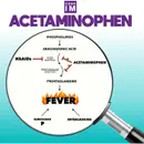 #30 Acetaminophen/Fevers Pathophysiology and Patient Outcomes: Mind the Gap Segment