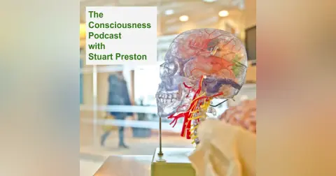 Episode 38: Quantum Physics, Reality, and Consciousness with Dr. James Glattfelder