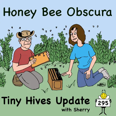 Tiny Hives Update with Sherry (295)