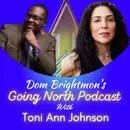 Ep. 1101 – But Where’s Home? Writing & Promoting a Multi-Voiced Family Saga with Toni Ann Johnson (@toniannjohnson)