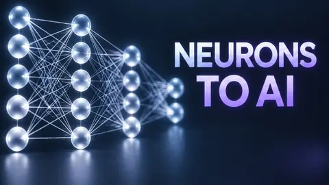 What Actually Happens Inside a Neural Network? (The Deep Dive)