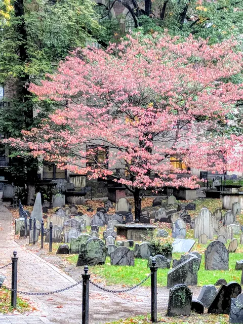 In the Shadow of Tombstones: Cemetery Superstitions