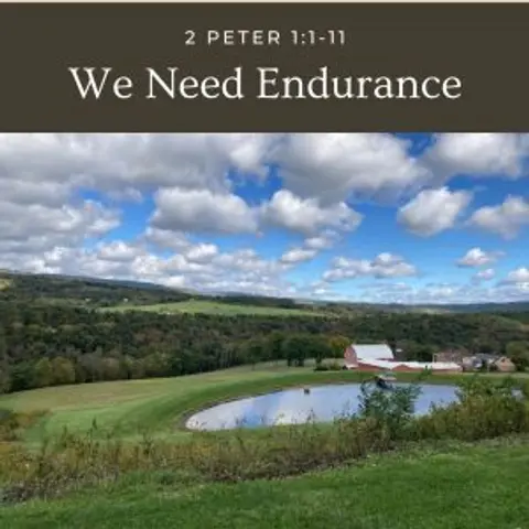 We Need Endurance