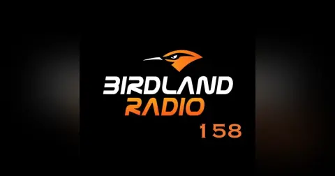 158: Bold Predictions