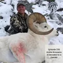 Four Decades to a FNAWS with Andre Brosseau