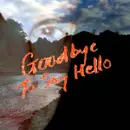 Goodbye To Say Hello