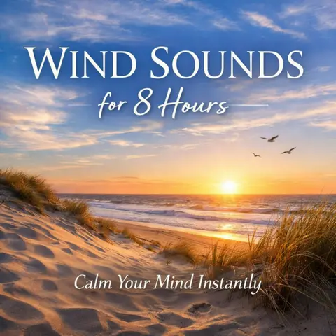 WIND SOUNDS for 8 Hours | Calm Your Mind Instantly