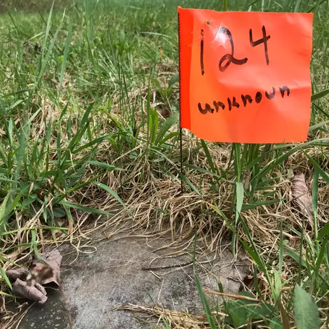 Honoring the Dead: Cemetery Stories from Delaware County