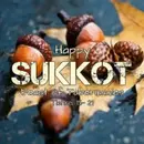 Day 1 of Sukkot