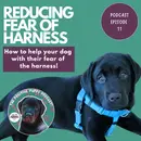 Episode 11: Reducing Fear of Harness