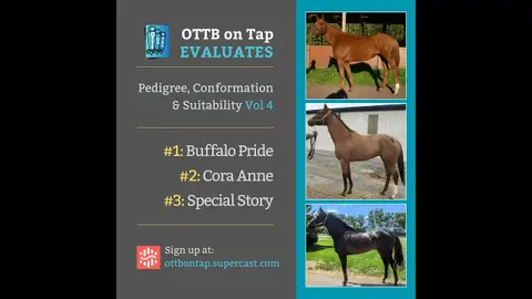 Sneak Peek: OTTB on Tap Evaluates Vol. 4: From Lightly Raced to Warhorses—Exploring Pedigree & Po...