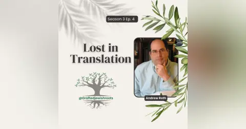 Lost in Translation