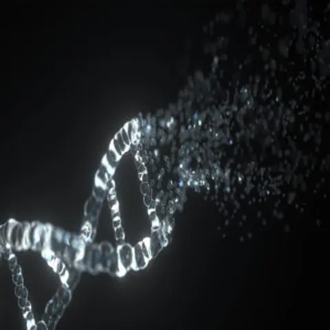 Dr. Robert Malone | Lies My Government Told Me, The Medical Industrial Complex, & The Transhumanist Plan