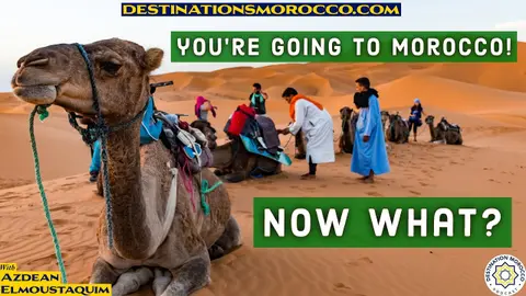 What to Prepare After you Book Your Trip